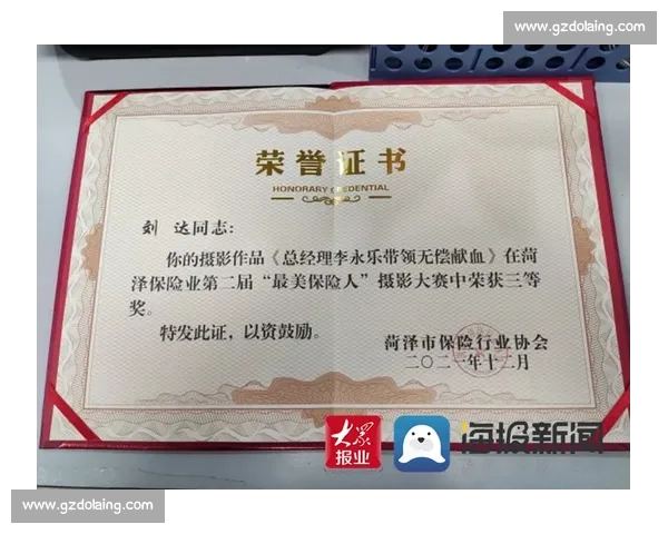 摄影比赛荣誉证书设计方案与创意呈现探索